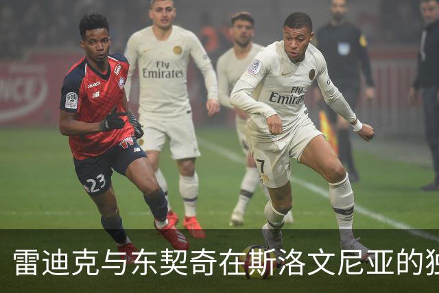 雷迪克与东契奇在斯洛文尼亚的独特时光
